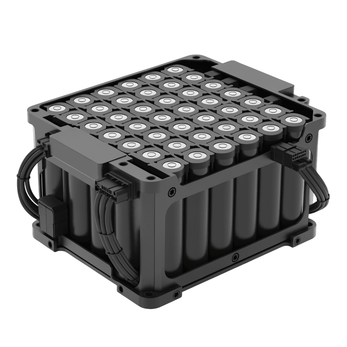 Angad application-specific lithium battery module